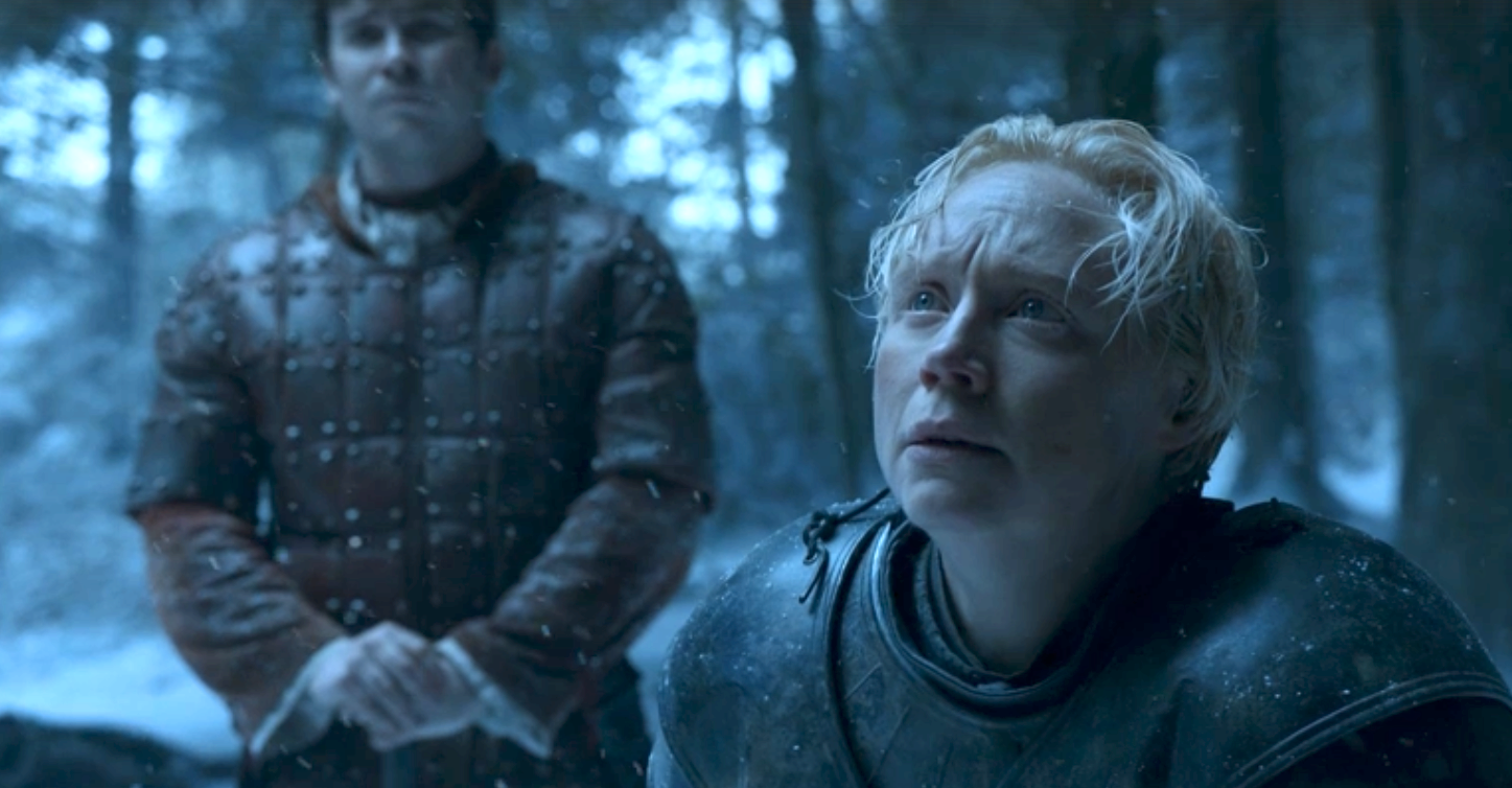 Brienne pledges her service to Sansa Stark